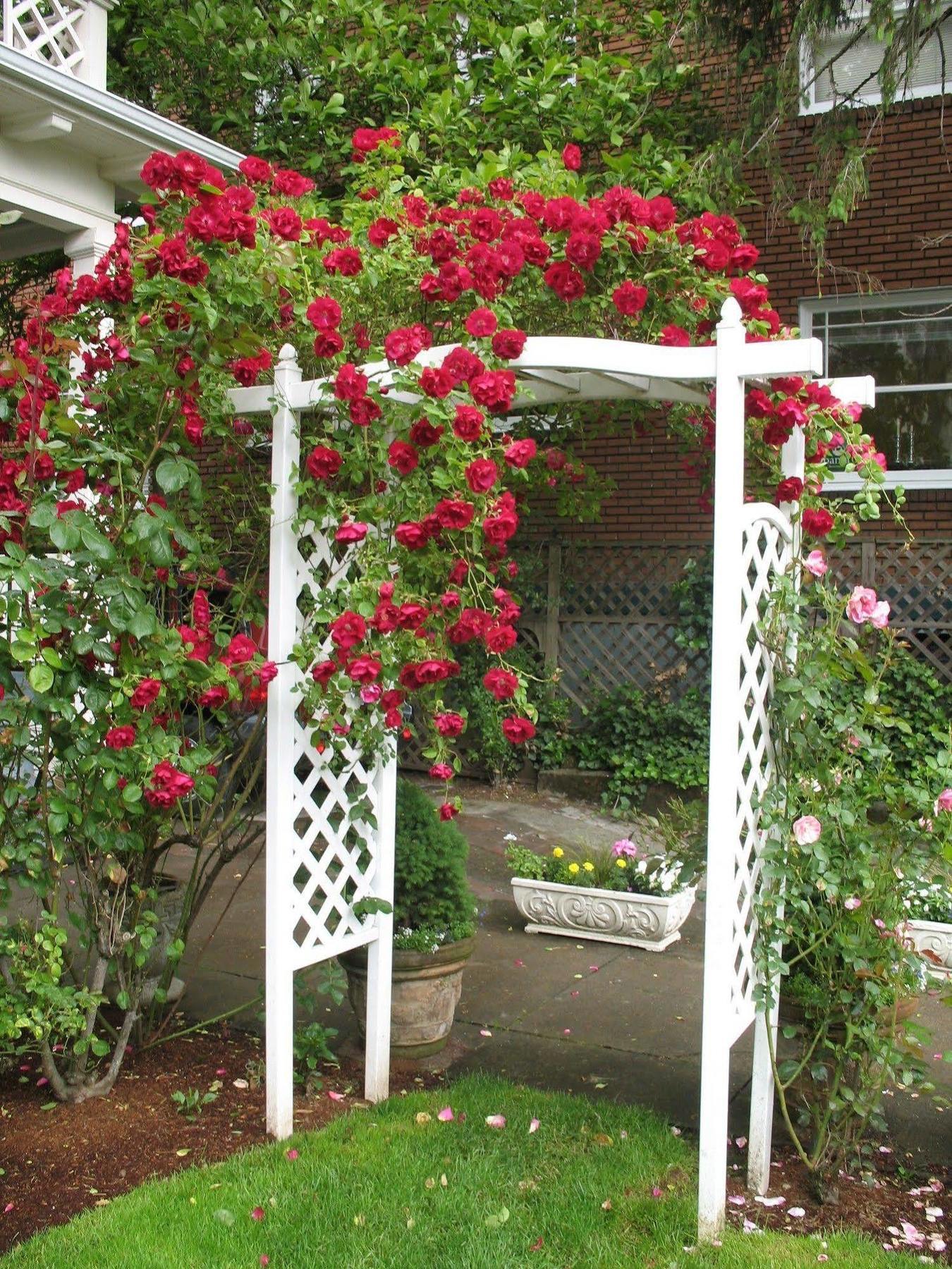 Guest house Lion And The Rose Victorian