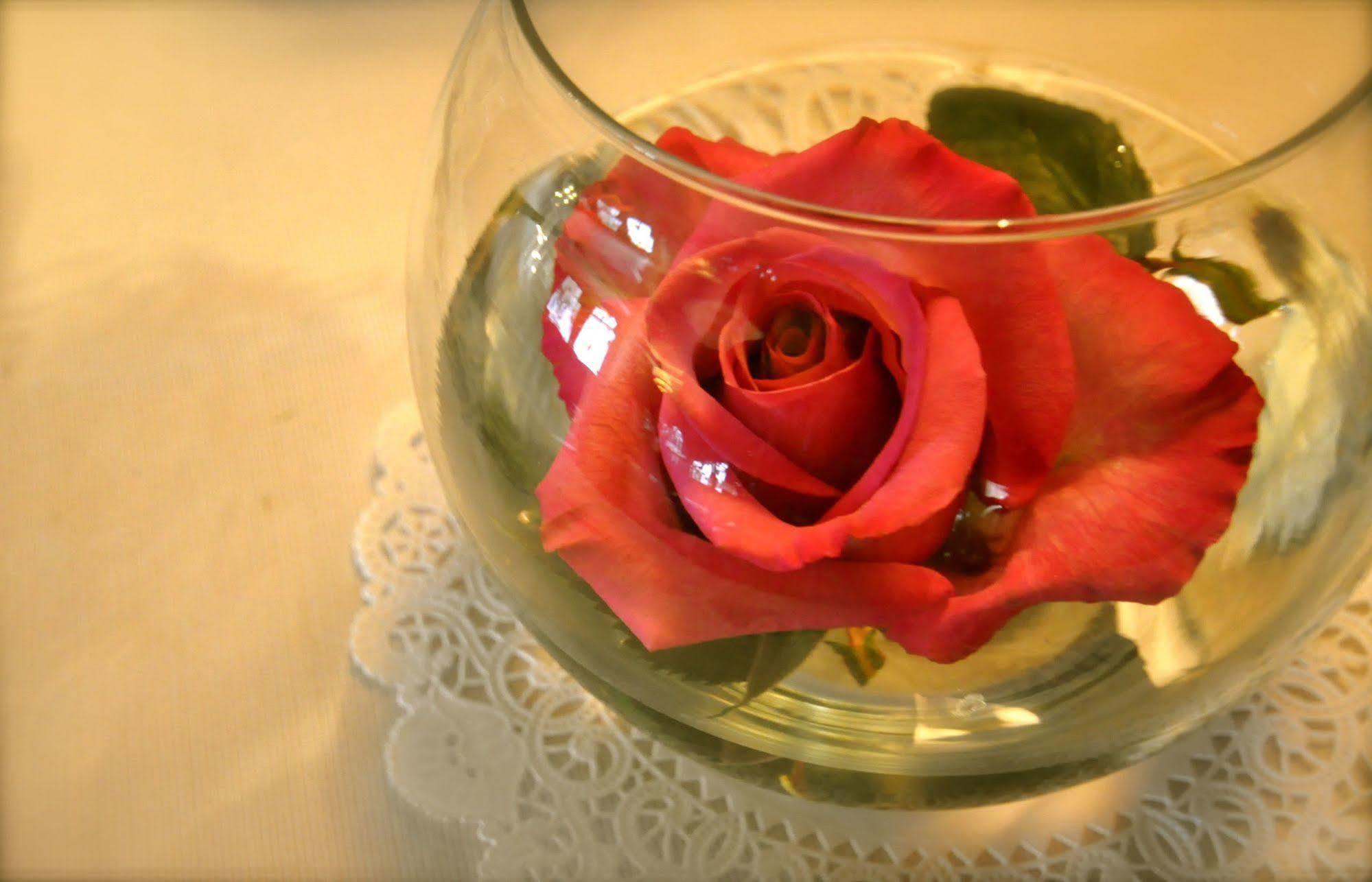Lion And The Rose Victorian Portland